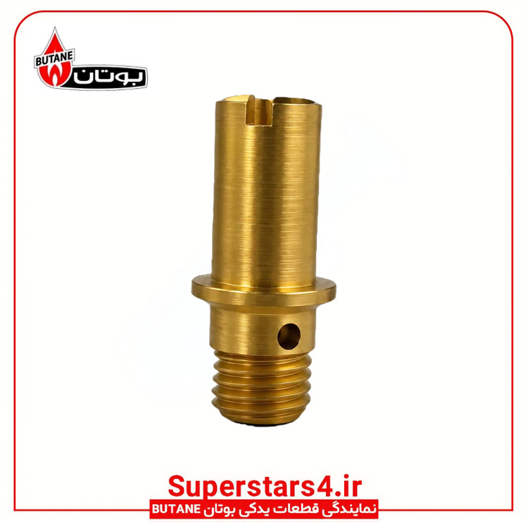 خرید شیپوره آبگرمکن دیواری بوتان BUTANE